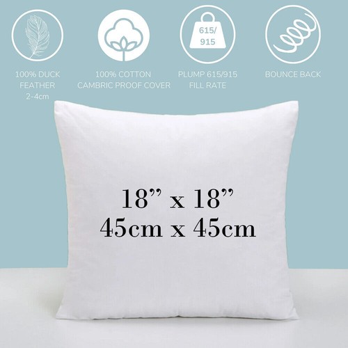 Duck feather cushion - cushion, inserts